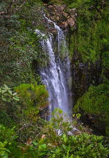 Black River Gorges National Park